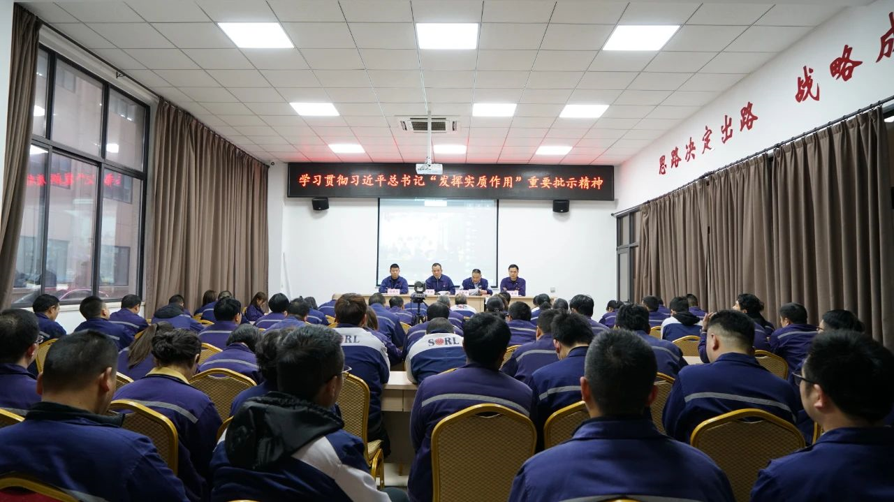 強黨建 促發展丨瑞立集團黨委召開專題學習會議